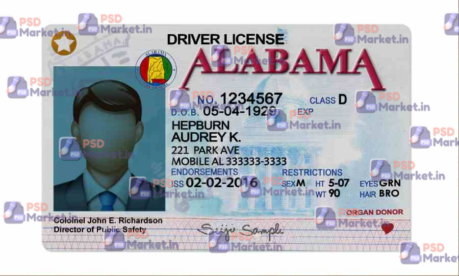Alabama Drivers License (Front & Back) Template (V2) 1 Alabama Drivers License (Front & Back) Template (V2) - PSDMarket.in