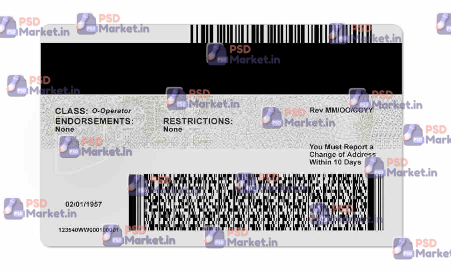 Arizona Driver License (Front & Back) Template 2 Arizona Driver License (Front & Back) Template - PSDMarket.in