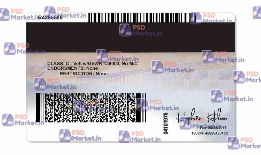 California Driver License Template(V2) 7 California Driver License Template(V2) - PSDMarket.in