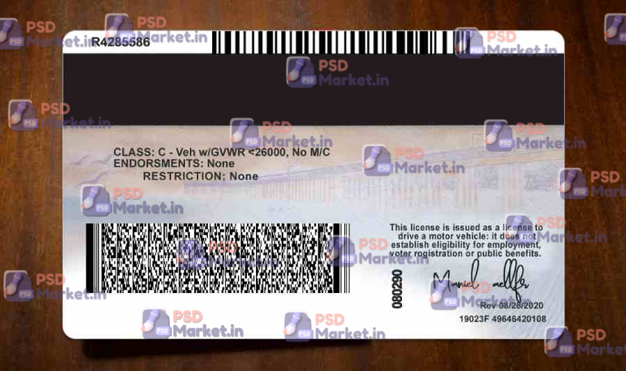California Driver License Template(V2) 2 California Driver License Template(V2) - PSDMarket.in