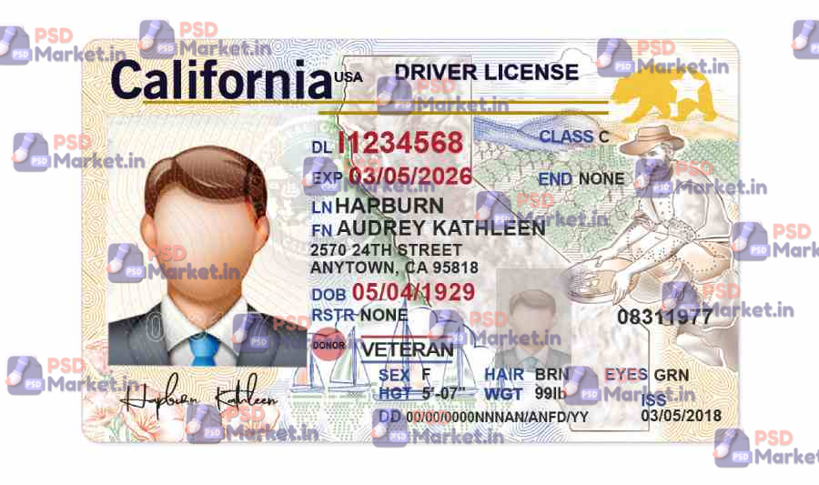 California Driver License Template(V2) 6 California Driver License Template(V2) - PSDMarket.in