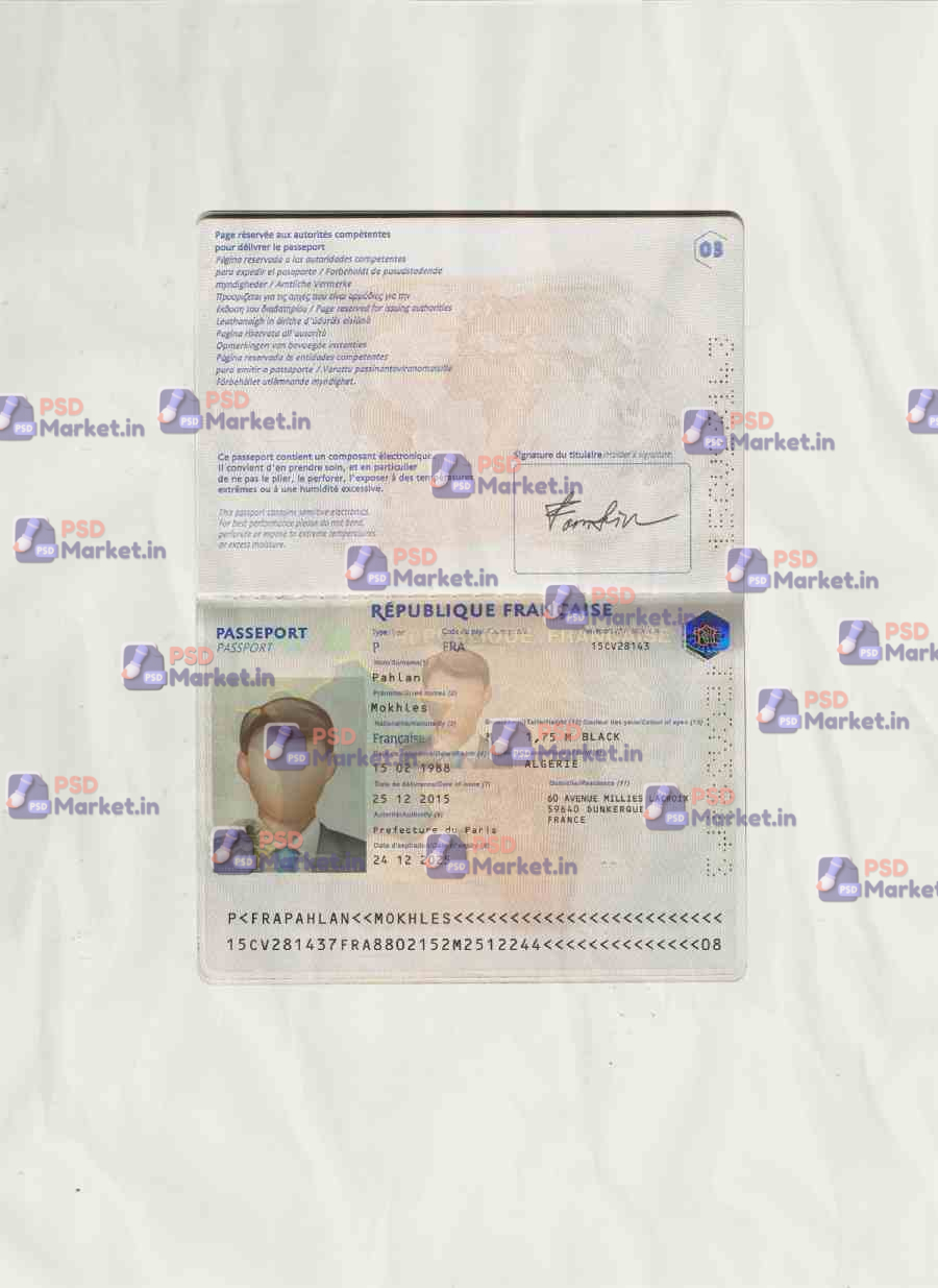 France Passport Template 1 France Passport Template - PSDMarket.in