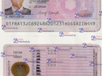 France Driving Licence Template (scan)