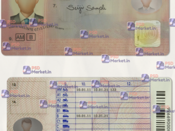 Romania Driving Licence Template (scan)