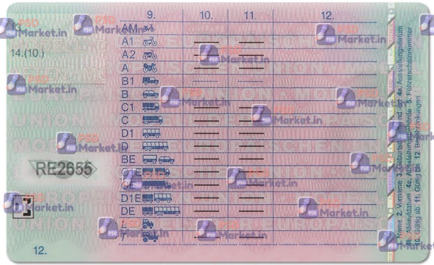 Germany Driving Licence (Front & Back) Template 2 Germany Driving Licence (Front & Back) Template - Image 2