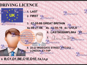 UK Driving Licence Template (without border)