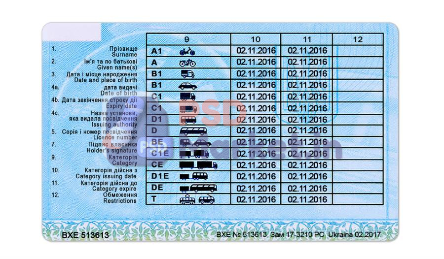 Ukraine Driving Licence (Front & Back) Template 2 Ukraine dl front & back - PSDMarket.in - back