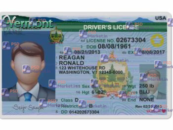 Vermont Driver License(Front & Back) Template v1 - PSDMarket.in
