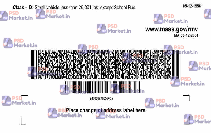 Massachusetts Drivers License Template V1 2 Massachusetts Drivers License Template V1 - PSDMarket.in