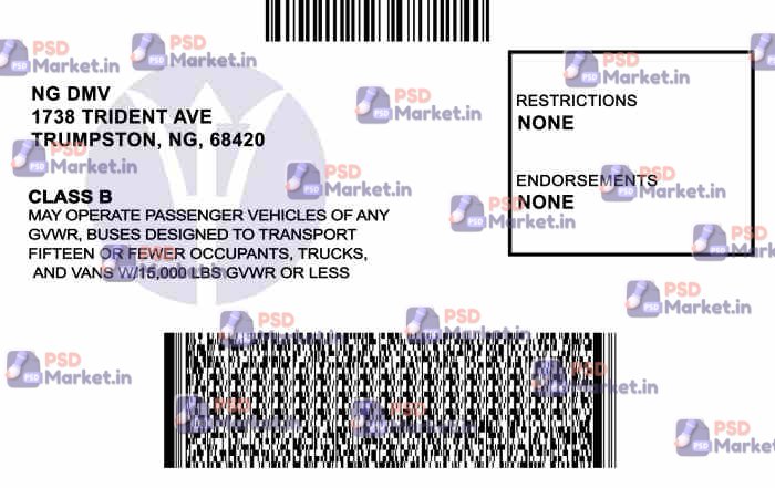 North Virginia Drivers License Template 2 North Virginia Drivers License Template - PSDMarket.in