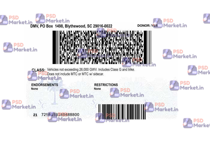 South Carolina Drivers License Template Updated 2 South Carolina Drivers License Template - PSDMarket.in