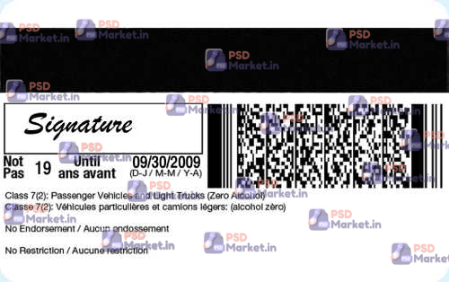 Canada Ontario Drivers License Template 5 Back under age 19 - Canada Ontario Drivers License Template - PSDMarket.in