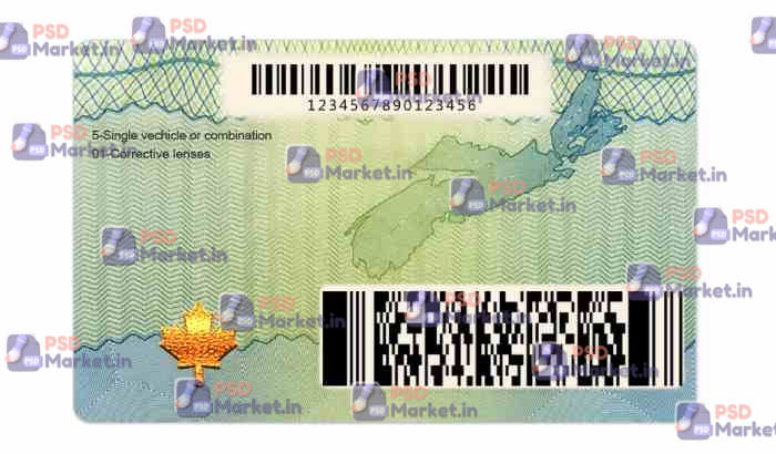 Canada Nova Scotia Drivers License Template 2 Canada Nova Scotia Drivers License Template - PSDMarket.in