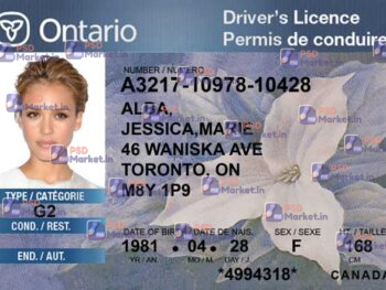 Canada Ontario Drivers License Template - PSDMarket.in