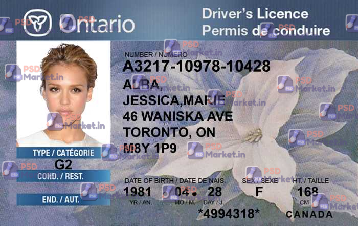 Canada Ontario Drivers License Template 1 Canada Ontario Drivers License Template - PSDMarket.in