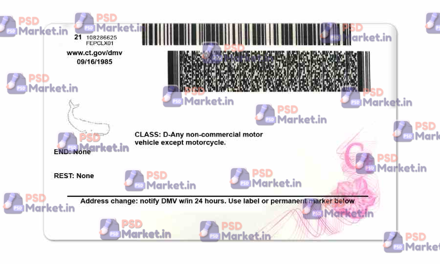Connecticut Drivers License Template (Front & Back) 2 Connecticut Drivers License Template (Front & Back) - PSDMarket.in