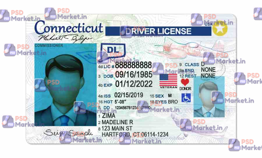 Connecticut Drivers License Template (Front & Back) 1 Connecticut Drivers License Template (Front & Back) - PSDMarket.in