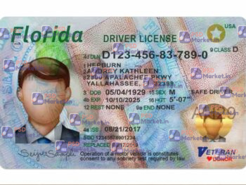 Florida Drivers License Template (Front & Back) - PSDMarket.in