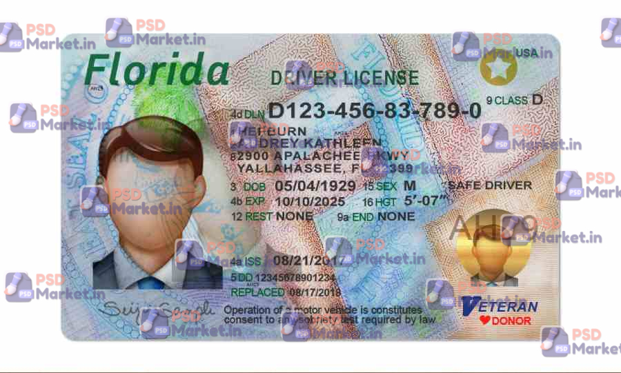 Florida Drivers License Template (Front & Back) 1 Florida Drivers License Template (Front & Back) - PSDMarket.in
