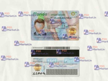Florida Drivers License Template (scan) - PSDMarket.in