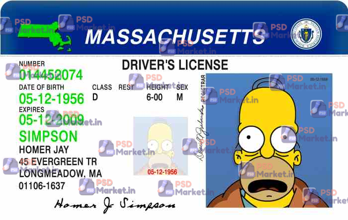 Massachusetts Drivers License Template V1 1 Massachusetts Drivers License Template V1 - PSDMarket.in