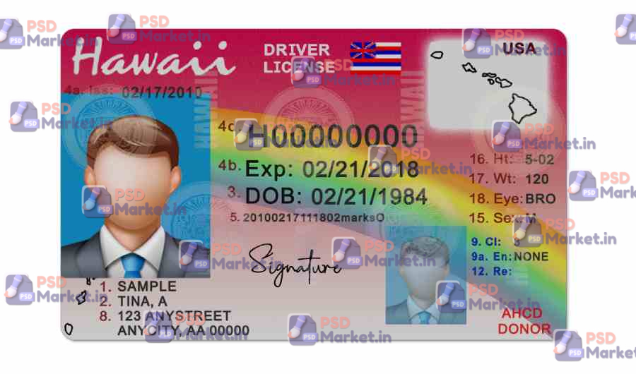 Hawaii Drivers License Template (Front & Back) 1 Hawaii Drivers License Template (Front & Back) - PSDMarket.in