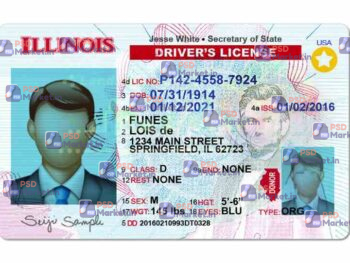 Illinois Drivers License Template (Front & Back) V2 - PSDMarket.in