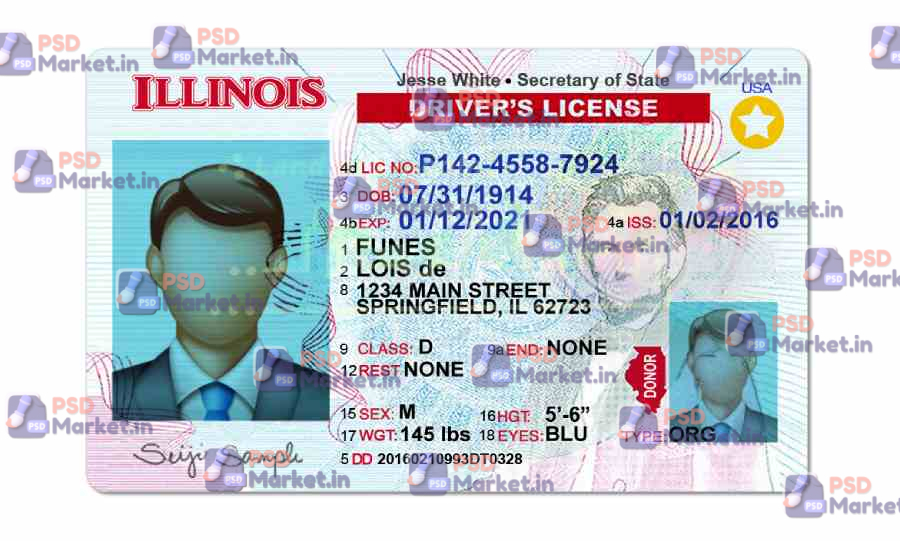 Illinois Drivers License Template (Front & Back) V2 1 Illinois Drivers License Template (Front & Back) V2 - PSDMarket.in