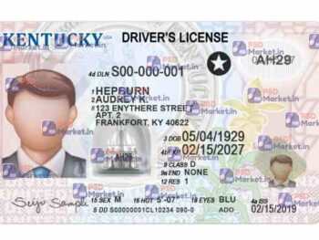 Kentucky Drivers License Template (Front & Back) - PSDMarket.in