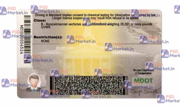 Maryland Drivers License Template (Front & Back) 2 Maryland Drivers License Template (Front & Back) - PSDMarket.in