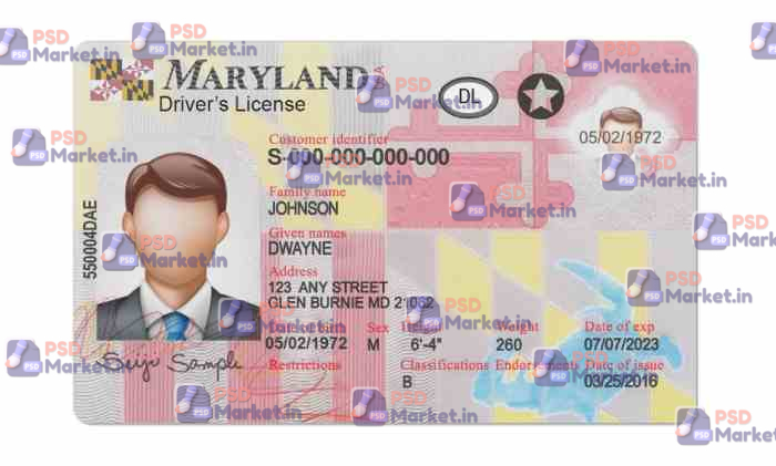 Maryland Drivers License Template (Front & Back) 1 Maryland Drivers License Template (Front & Back) - PSDMarket.in