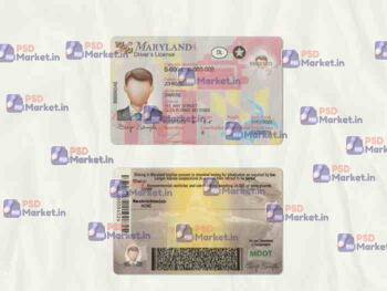 Maryland Drivers License Template (scan) - PSDMarket.in