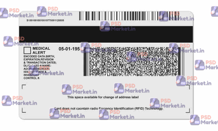 Michigan Drivers License Template (Front & Back) 2 Michigan Drivers License Template (Front & Back) - PSDMarket.in