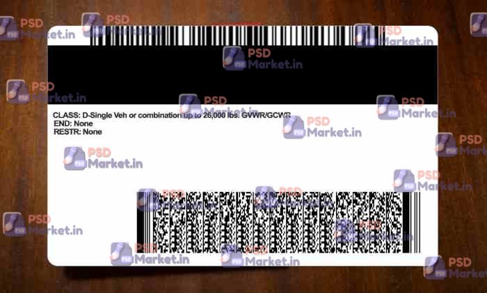 Minnesota Drivers License Template (Front & Back) 2 Minnesota Drivers License Template (Front & Back) -PSDMarket.in
