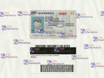Minnesota Drivers License Template (scan) - PSDMarket.in