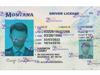 Montana Drivers License Template (Front & Back) - PSDMarket.in