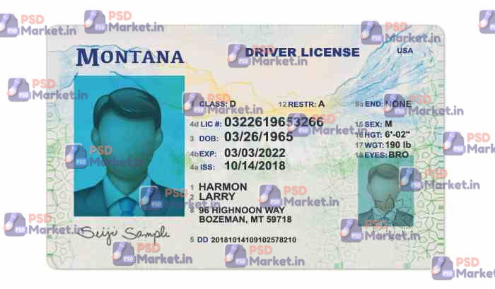 Montana Drivers License Template (Front & Back) 1 Montana Drivers License Template (Front & Back) - PSDMarket.in