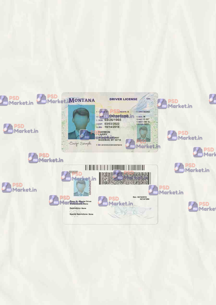 Montana Drivers License Template (scan) 1 Montana Drivers License Template (scan) - PSDMarket.in