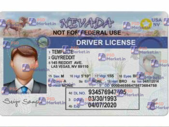 Nevada Drivers License Template (Front & Back) V2 - PSDMarket.in
