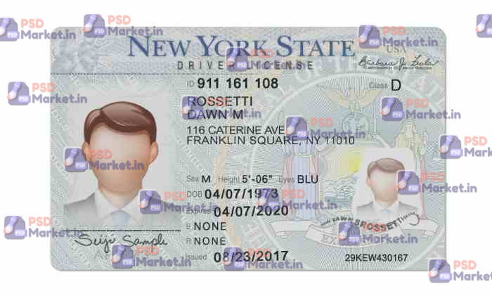 New York Drivers License Template (Front & Back) V2 1 New York Drivers License Template (Front & Back) V2 - PSDMarket.in