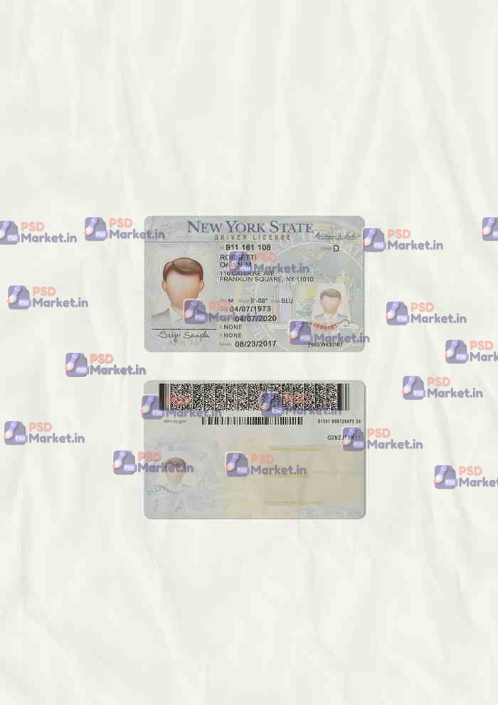 New York Drivers License Template (scan) V2 1 New York Drivers License Template (Scan) V2 - PSDMarket.in