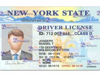 New York Driver's License Template (V1) - PSDMarket.in - With Border