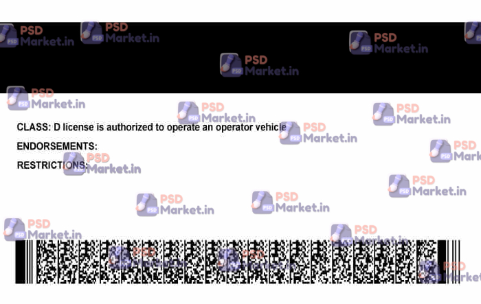 Ohio Drivers License Template (V1) 2 Ohio Drivers License Template (V1) - PSDMarket.in