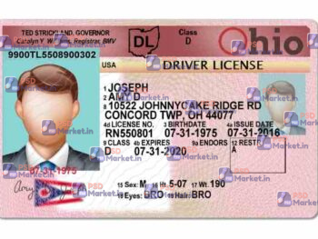 Ohio Drivers License Template (V1) - PSDMarket.in