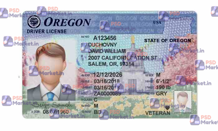 Oregon Drivers License Template (Front & Back) 1 Oregon Drivers License Template (Front & Back) - PSDMarket.in