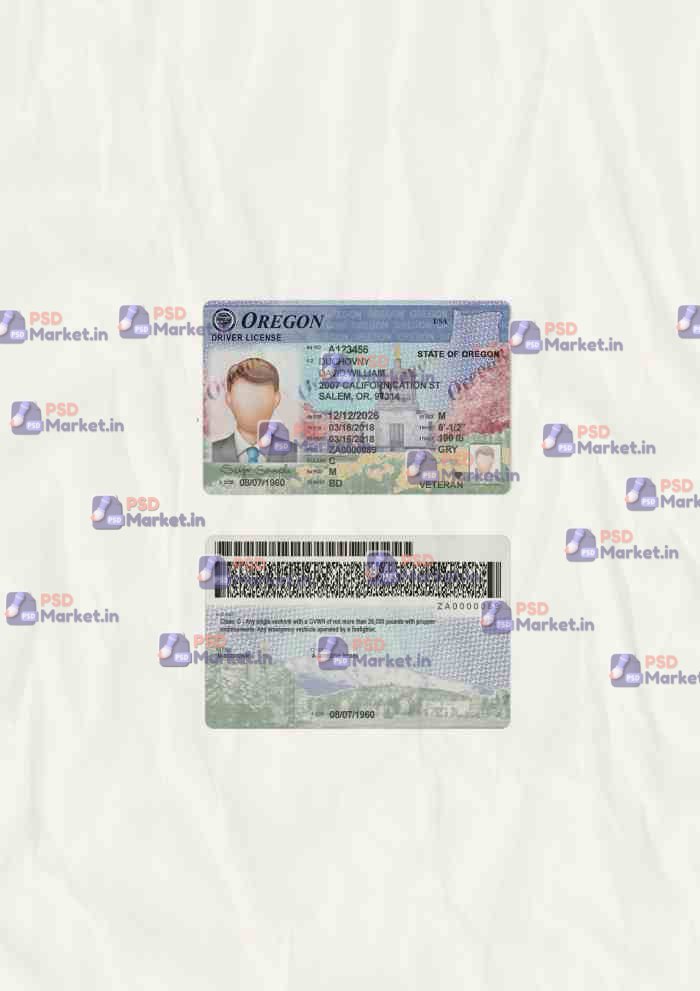 Oregon Drivers License Template (scan) 1 Oregon Drivers License Template (scan) - PSDMarket.in
