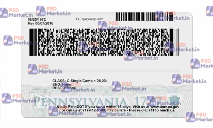 Pennsylvania Drivers License Template (Front & Back) 2 Pennsylvania Drivers License Template (Front & Back) - PSDMarket.in