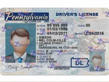Pennsylvania Drivers License Template (Front & Back) - PSDMarket.in