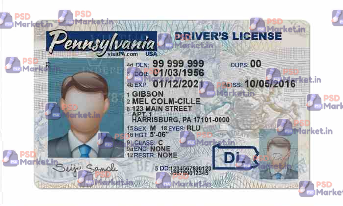 Pennsylvania Drivers License Template (Front & Back) 1 Pennsylvania Drivers License Template (Front & Back) - PSDMarket.in