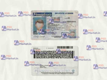 Pennsylvania Drivers License Template (scan) - PSDMarket.in